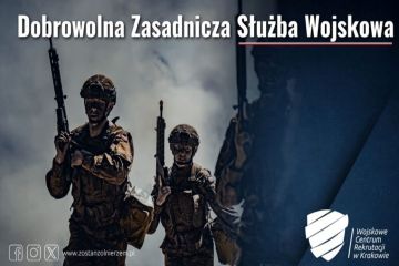 Dobrowolna Zasadnicza Służba Wojskowa